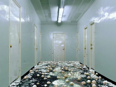 A corridor filled with organic forms