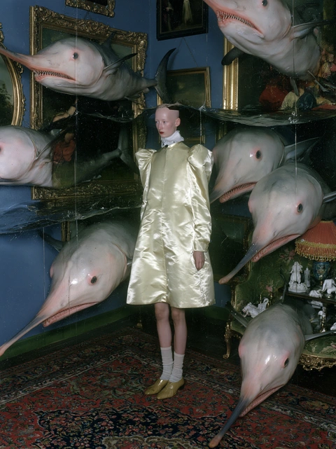A portrait among large animal heads